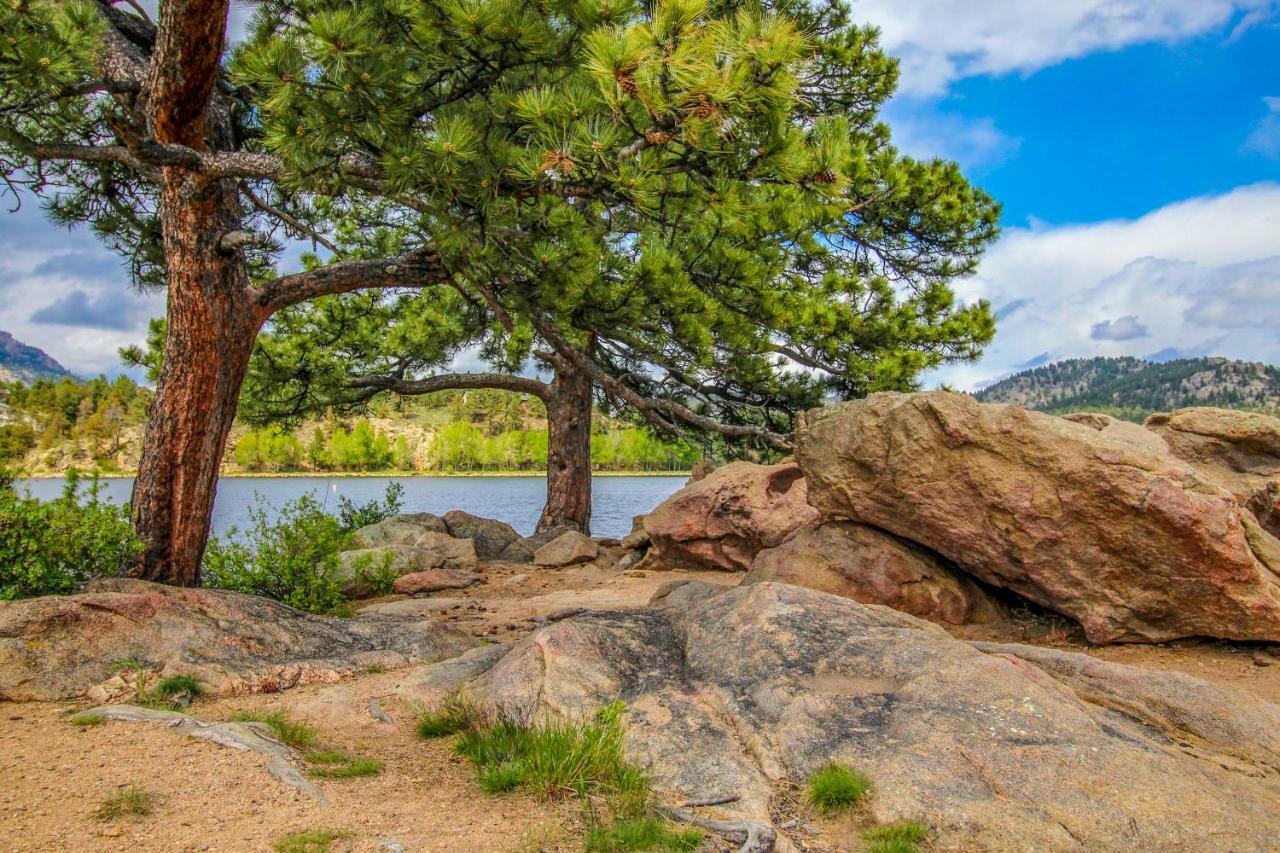The Pine Cone - Permit #3255 Leilighet Estes Park Eksteriør bilde